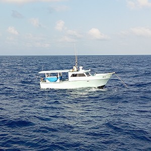Fairchem victory maritime rescue mission