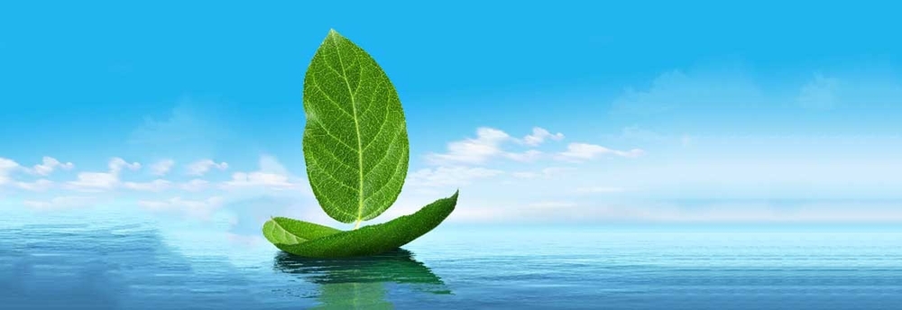 leaf shaped as vessel on sea