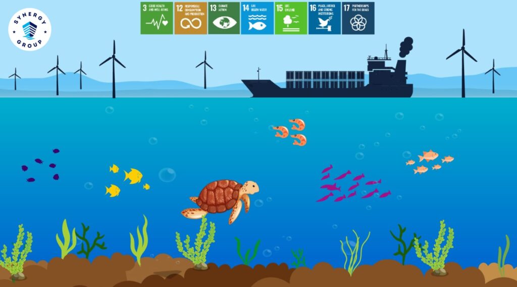 The Blue Economy: Protecting Marine Life - Synergy Marine Group