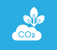 Icon showing a CO2 cloud and a plant sprout, representing emissions management and environmental compliance under EU ETS.